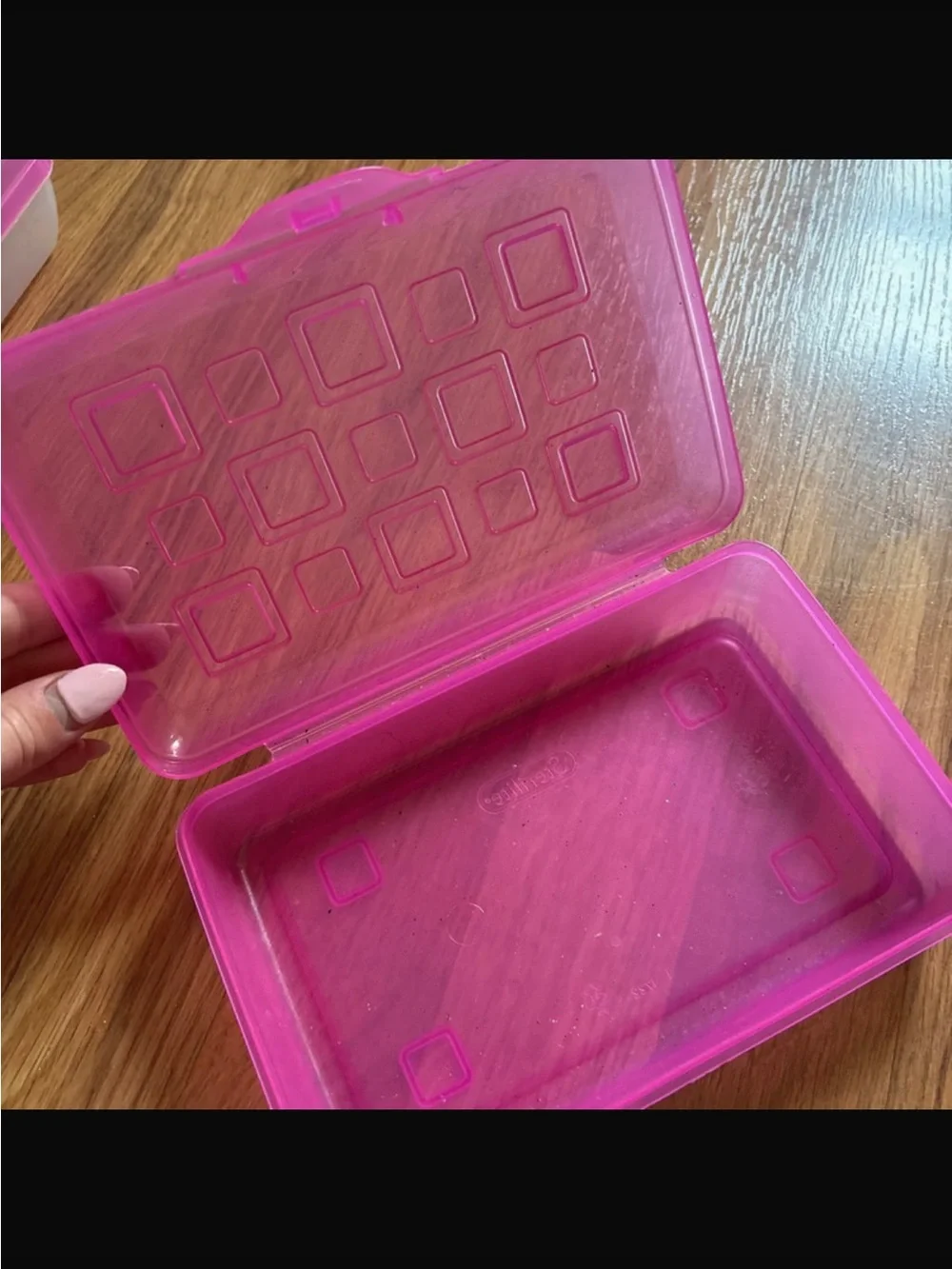Pink Plastic Storage Boxes - Set of 2